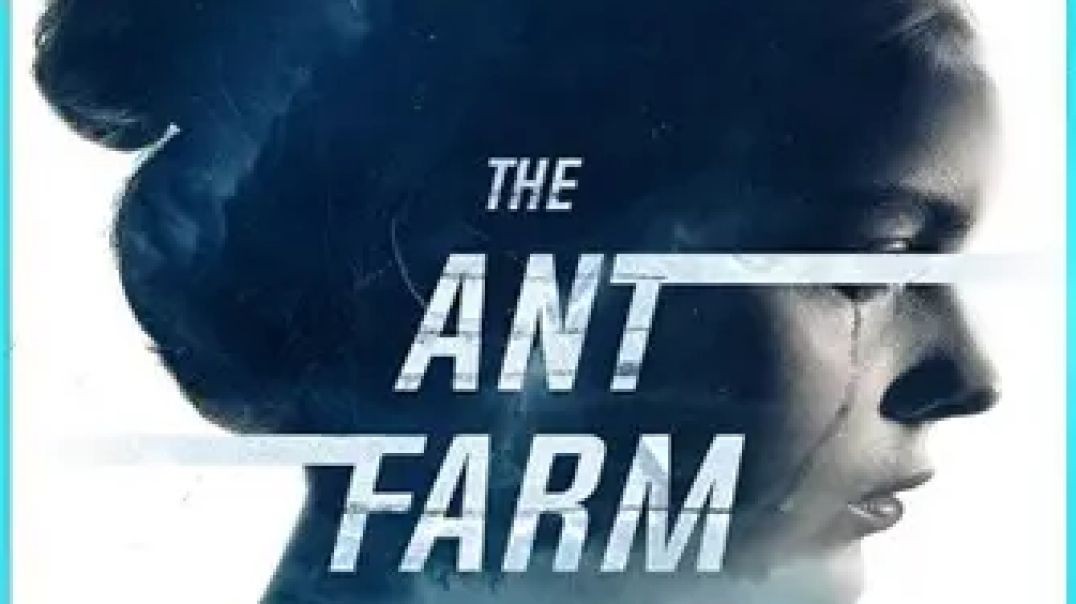 ⁣The Ant Farm